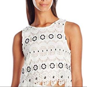 Lover’s + Friends incense lace crop top